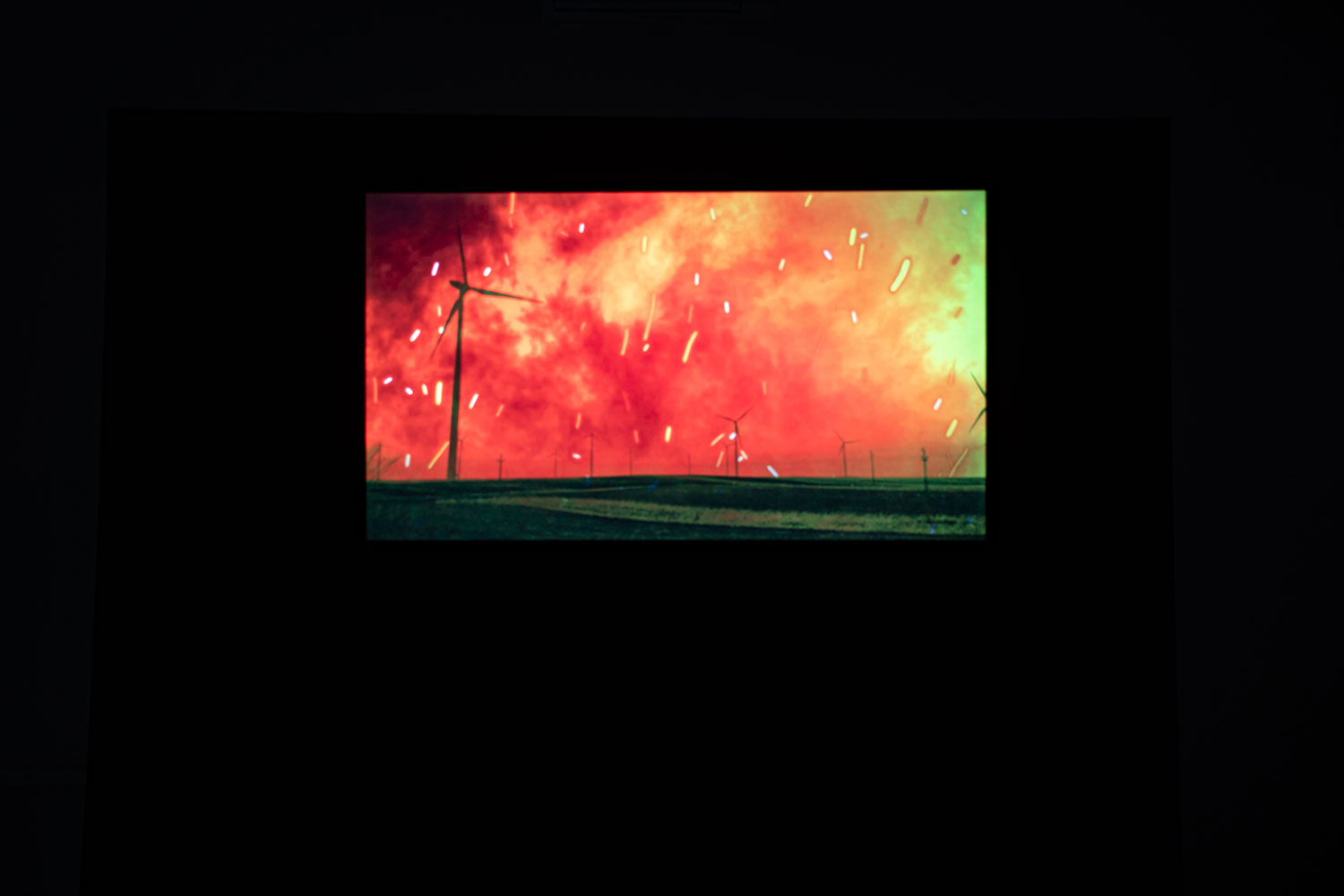01-anica